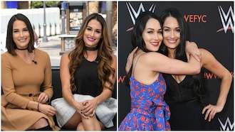 Meet WWE stars and twin sisters who fell pregnant at the same time