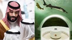Prospective Premier League club owner Bin Salman owns the world's most expensive house (photos)