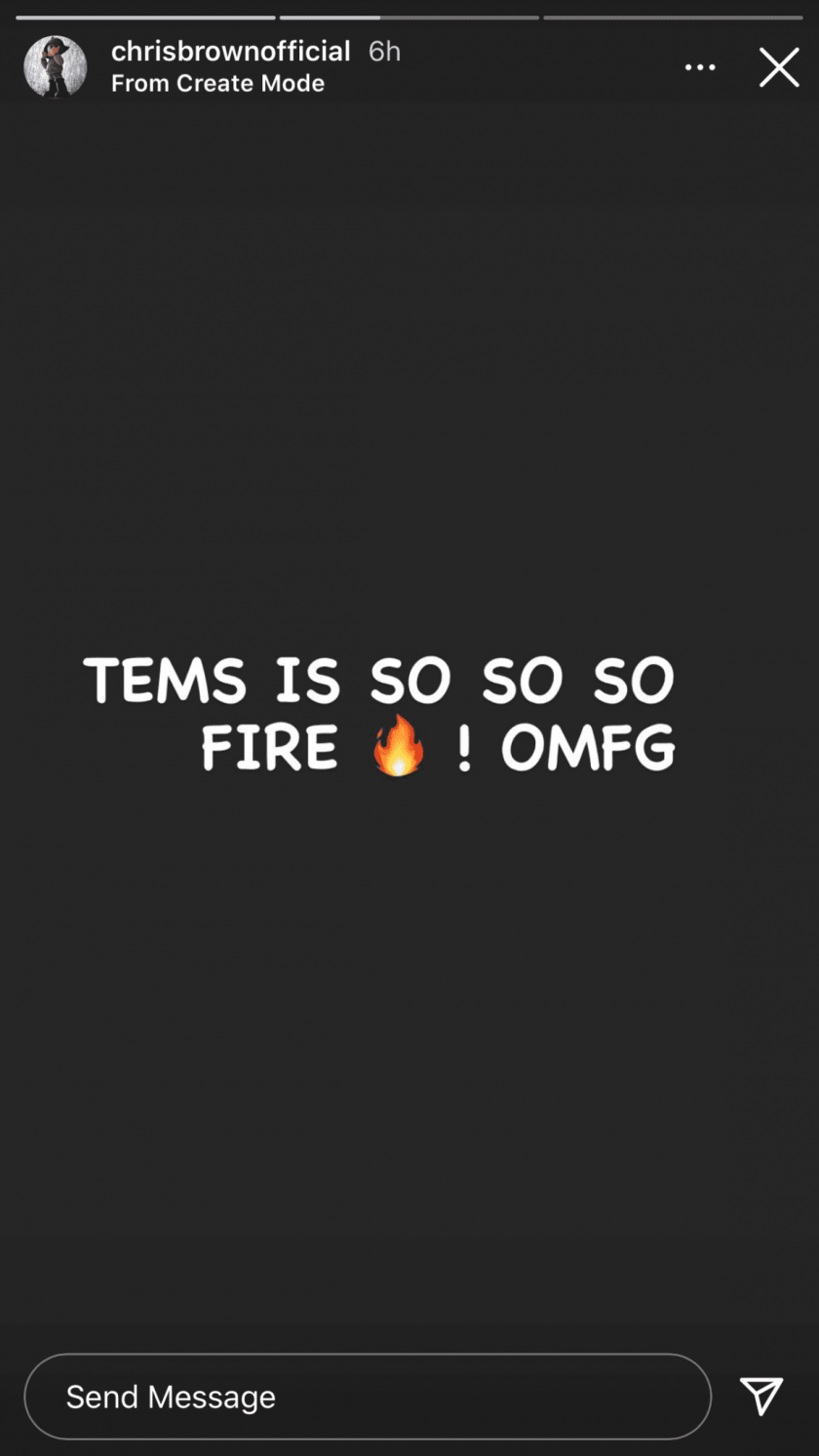 'Tems is so so FIRE!...' Chris Brown Testifies