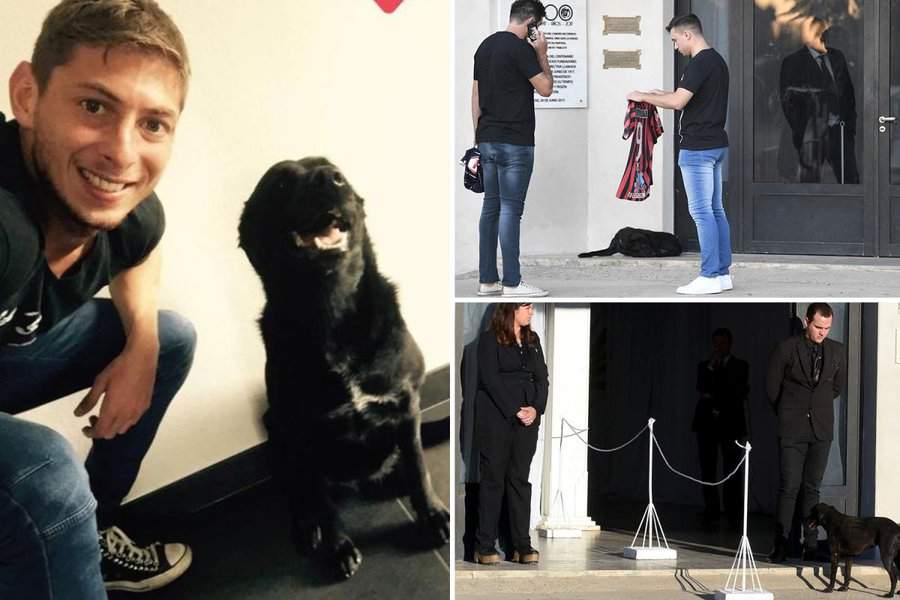 Emiliano Sala's faithful dog attends funeral of late footballer as family break down into tears (photo)