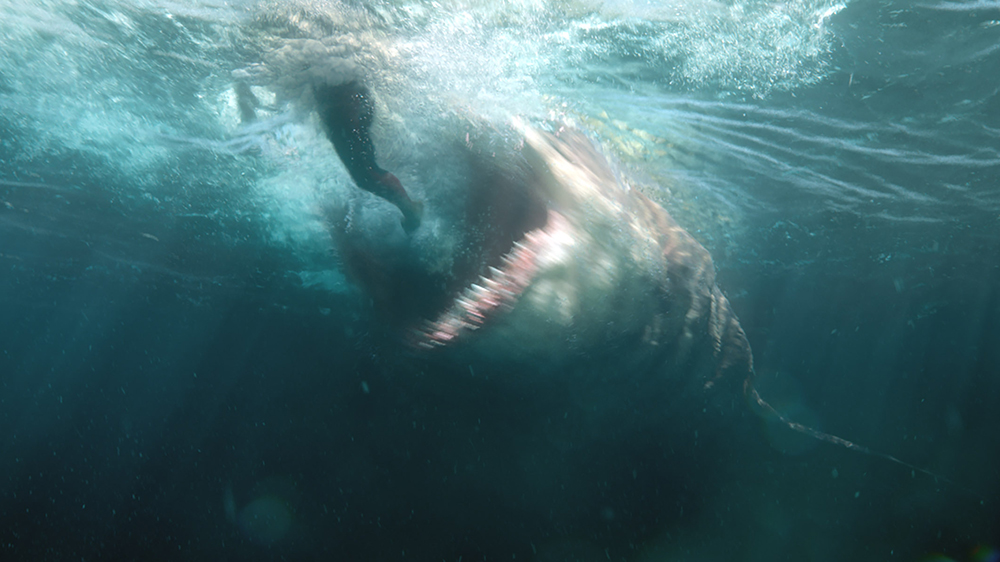 'The Meg' Feasts on $97 Million Overseas, With $50.3 Million in China