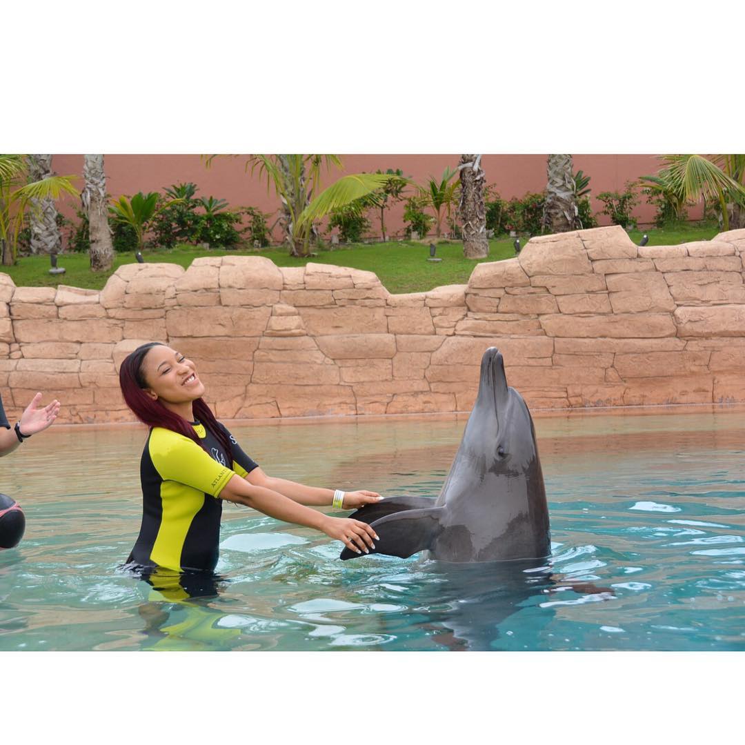 Photo Of Tonto Dikeh Swimming With Dolphins