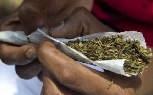 Wrapping marijuana (Citifm Online)