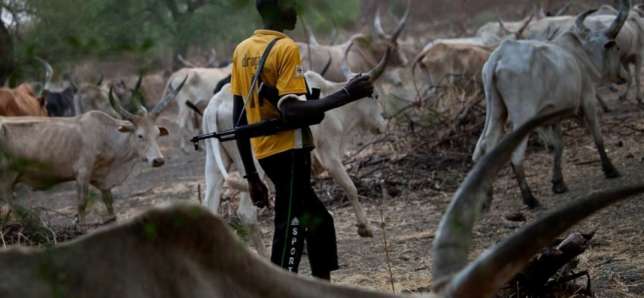 Armed herdsman (illustration) (National Daily )