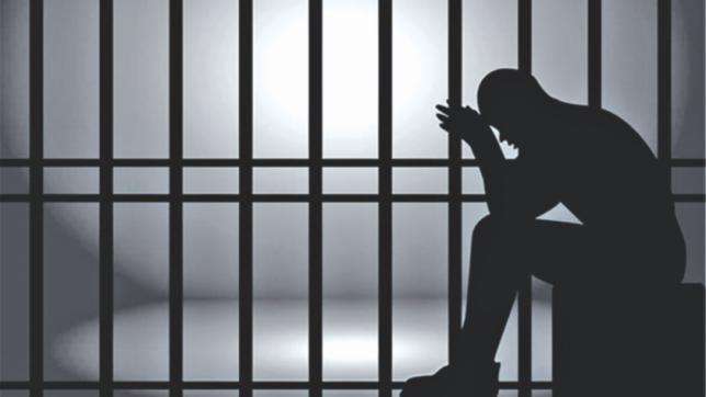 Applicant gets 2 months imprisonment for stealing DVD player (iPleaders Blog)