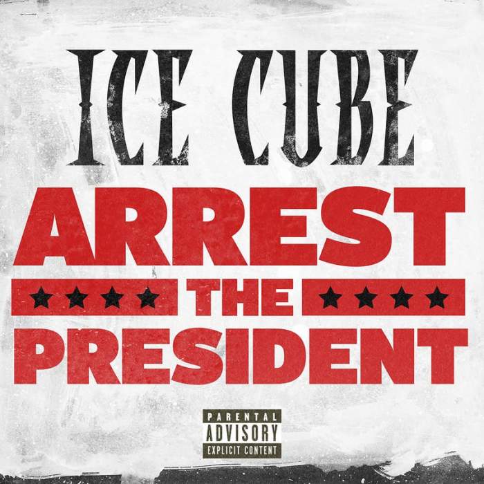 Ice Cube - Arrest the President