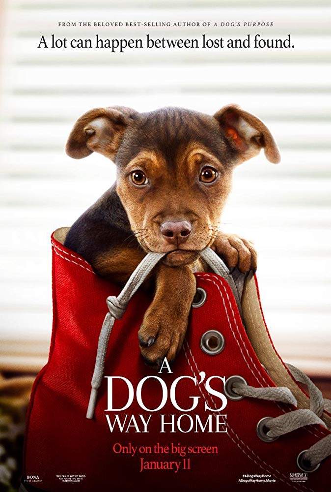 Movie: A Dog's Way Home (2019)