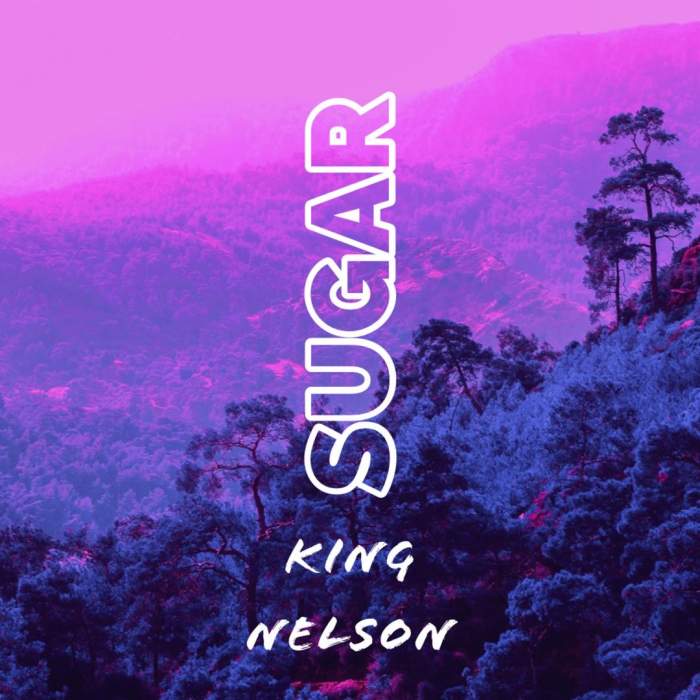 King Nelson - Sugar Netnaija