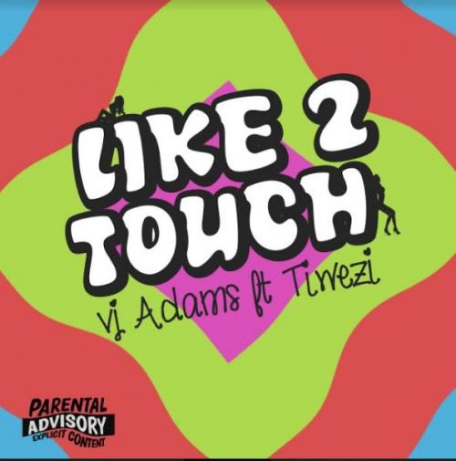 VJ Adams - Like 2 Touch (feat. Tiwezi)