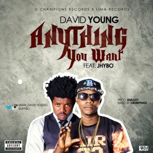 David Young - Anything You Want (feat. Jhybo)