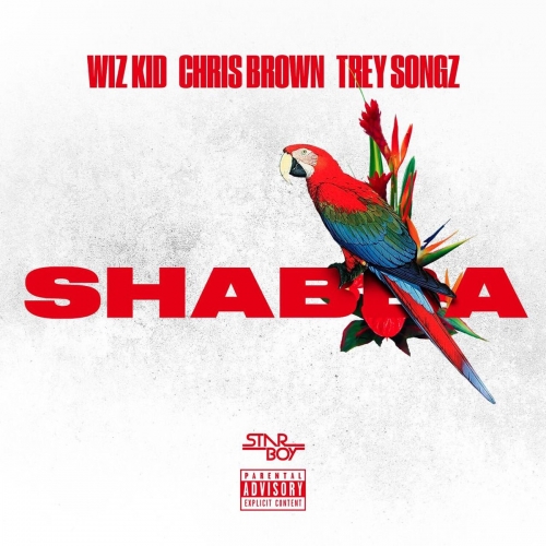 Wizkid - Shabba (Instrumentals) [feat. Chris Brown, Trey Songz & French Montana]