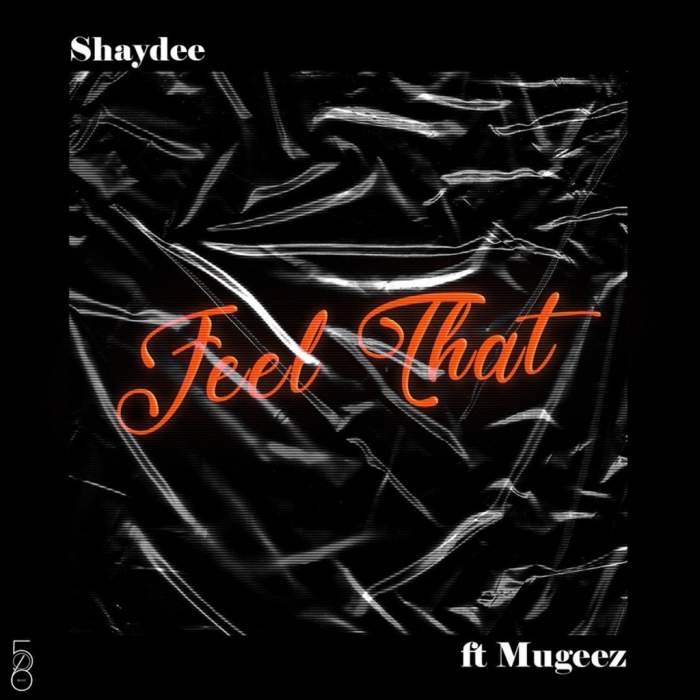 Shaydee - Feel That (feat. Mugeez)