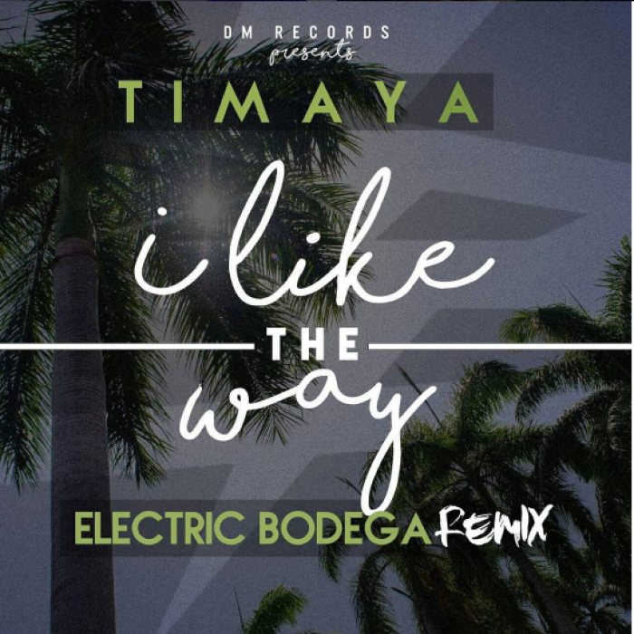 Timaya - I Like The Way (Remix)