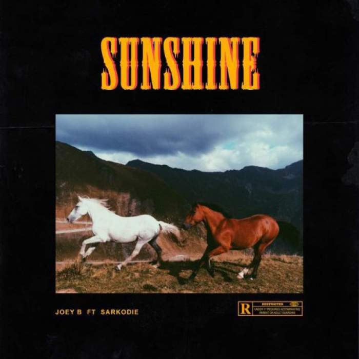 Joey B - Sunshine (Remix) [feat. Sarkodie]