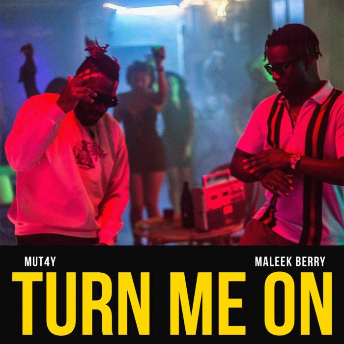 Mutay - Turn Me On (feat. Maleek Berry)