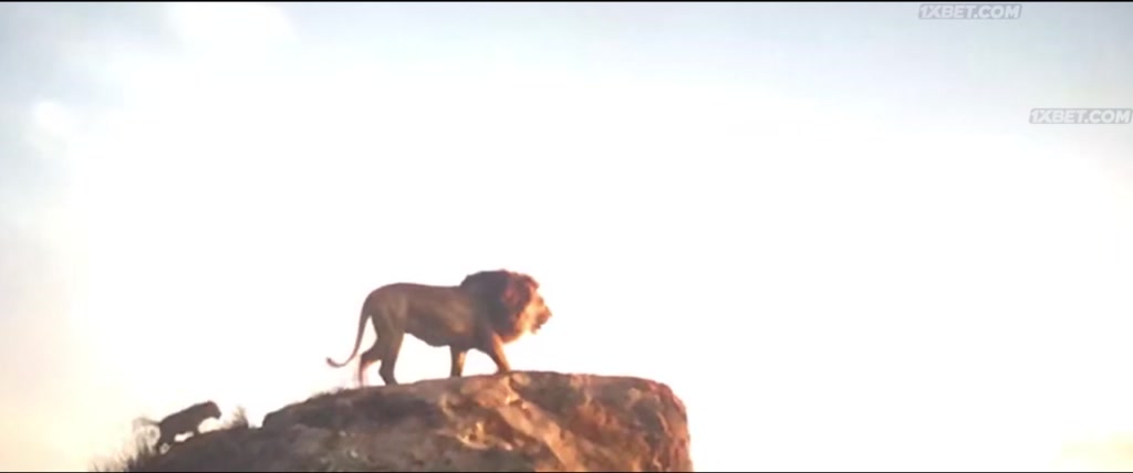 The Lion King (2019) CAMRip 1 The Lion King (2019) CAMRip 1