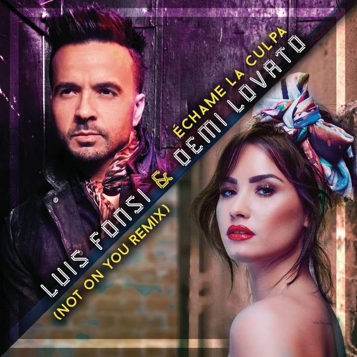 Luis Fonsi & Demi Lovato - Échame La Culpa (Not On You Remix)