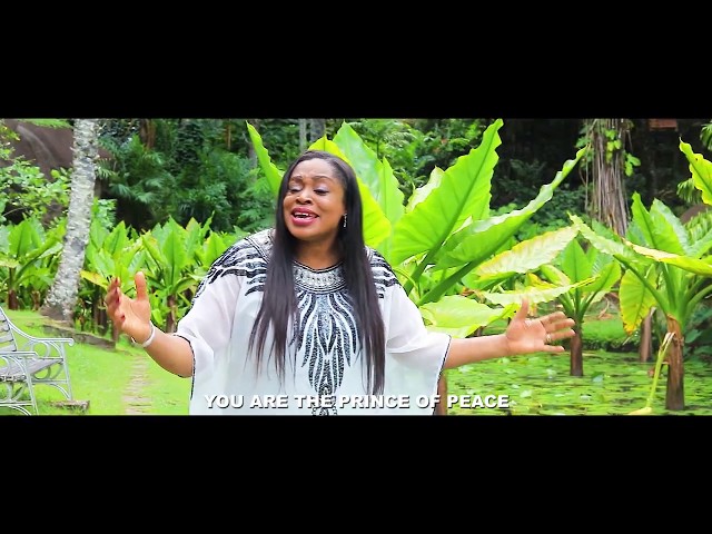 Sinach - No Other Name