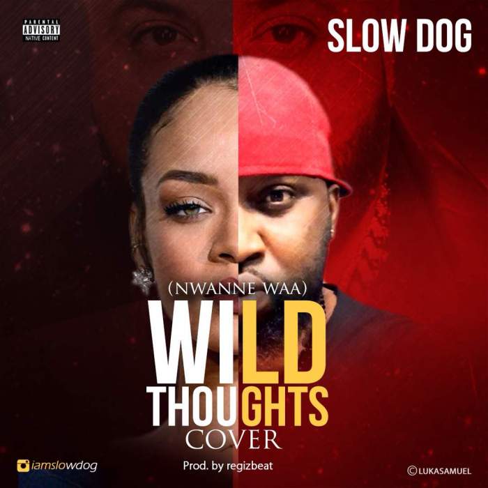 Slow Dog - Nwanne Waa (Wild Thoughts Cover)