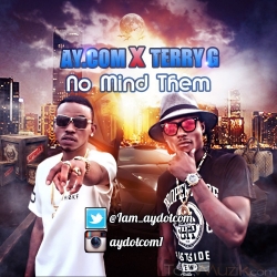 AY.com - No Mind Dem (feat. Terry G)