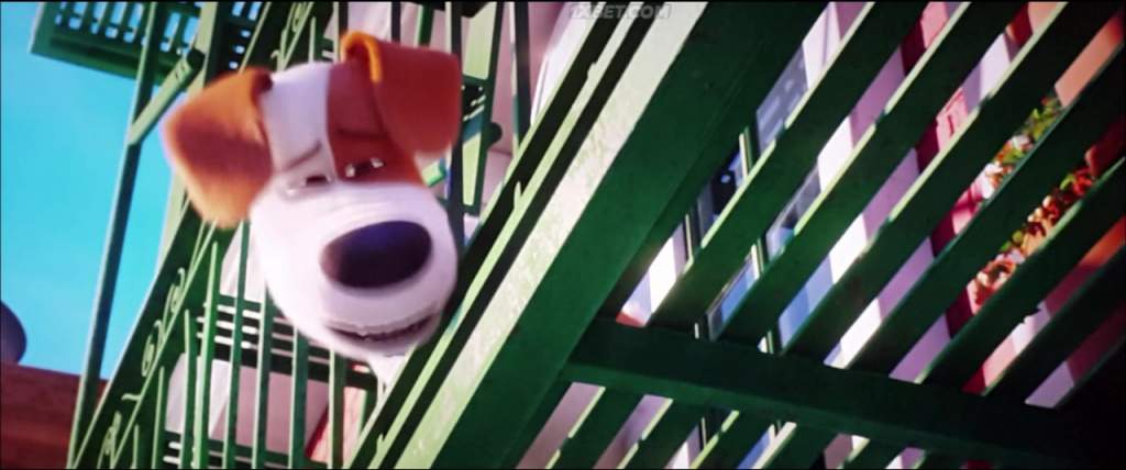 The Secret Life of Pets 2 (2019) HC-TC 2 The Secret Life of Pets 2 (2019) HC-TC 2
