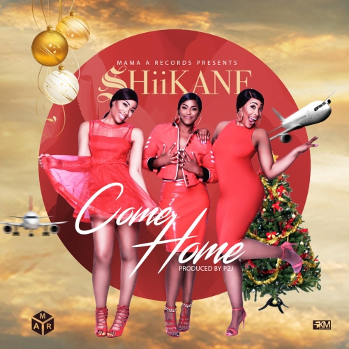 SHiiKANE - Come Home