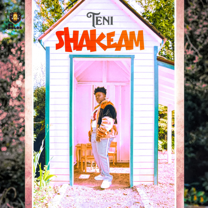 Teni - Shake Am