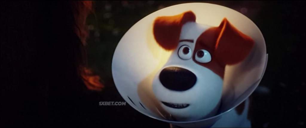 The Secret Life of Pets 2 (2019) HC-TC 5 The Secret Life of Pets 2 (2019) HC-TC 5