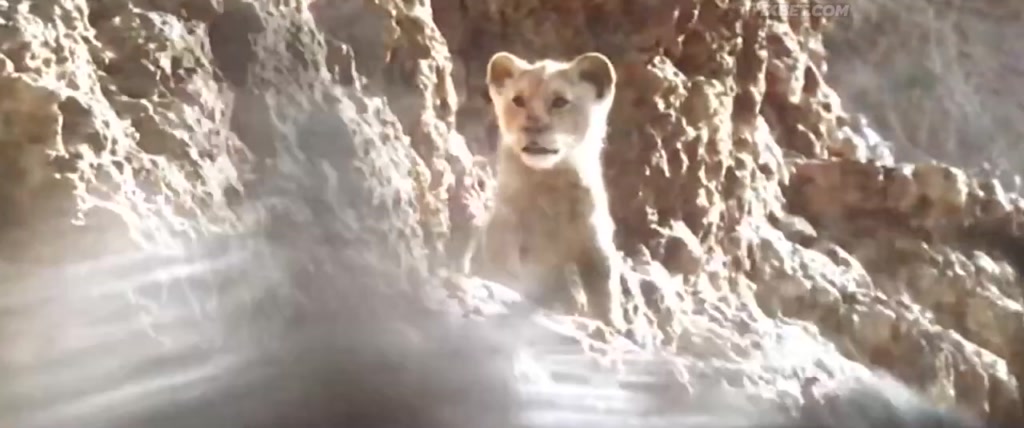 The Lion King (2019) CAMRip 7 The Lion King (2019) CAMRip 7
