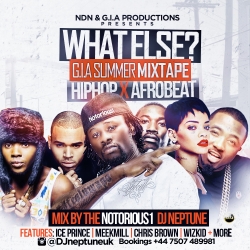 Notorious1 DJ Neptune - What Else Summer Mix